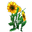 File:Plant Flower Tall Yellow.png