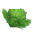 File:Plant Crop Lettuce.png