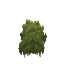 File:Plant Moss Green Dark.png
