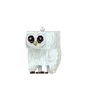 File:Owl Snow.png