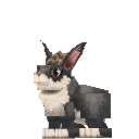 File:Rabbit.png